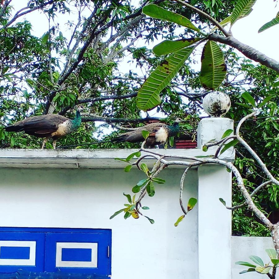 Sriyan Villa Beruwala Luaran gambar