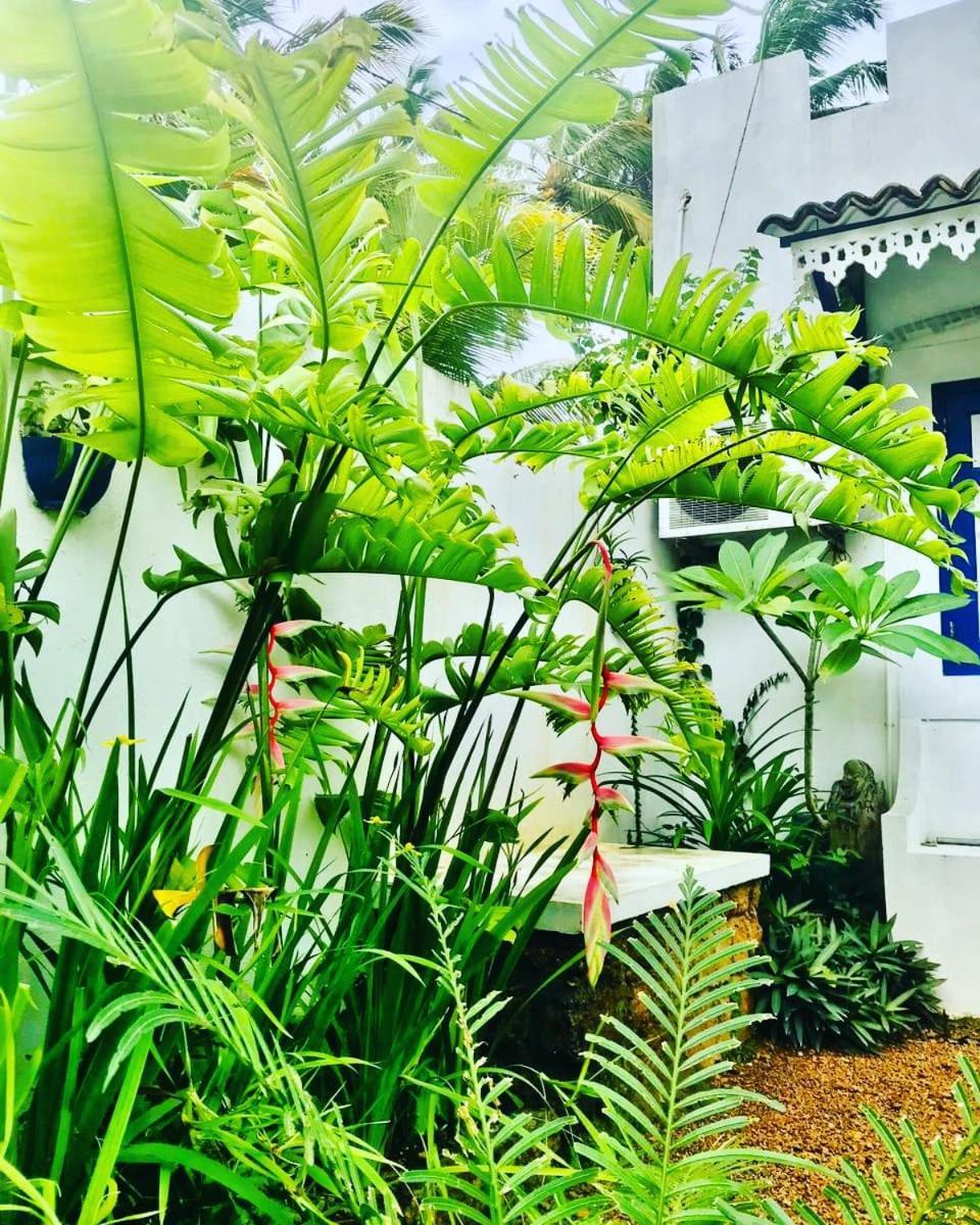Sriyan Villa Beruwala Luaran gambar